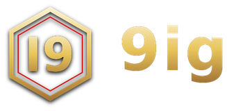 9ig logo